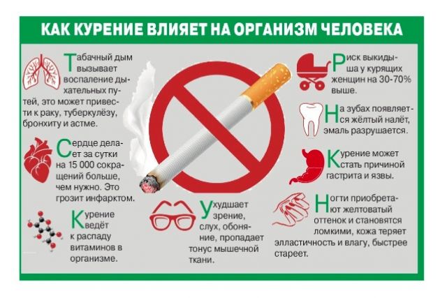 Здоровый образ жизни